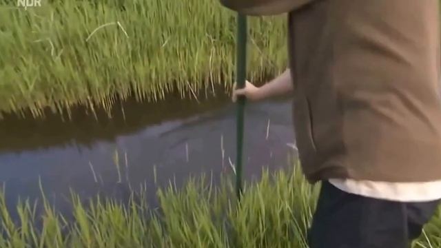 Ноу хау от немецких специалистов смотреть онлайн