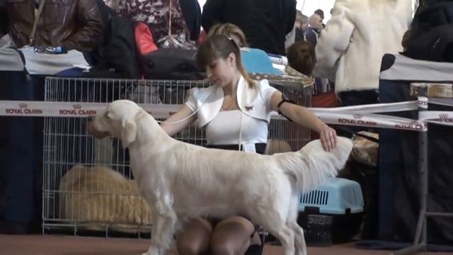 Выставка Донецк 02.03.2013 смотреть онлайн