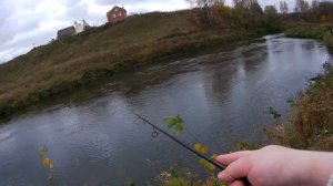 Со спиннингом на малой реке