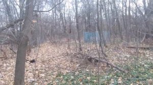 НАШЛИ ЗАБРОШЕННОЕ КЛАДБИЩЕ.НАШЛИ СЕКТАНТОВ.ПРОЛЕЗЛИ НА ЗАБРОШЕННОЕ КЛАДБИЩЕ.Манифест спасибо за иде