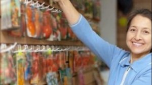 Выращивание репы из семян