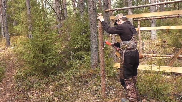 Такого я ещё не видел...СТРАННЫЙ ЛЕС! Жизнь в лесу. Железное дерево!