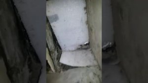 деформационный шов дом-пристройка-зимний сад