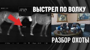 Волки напали на лошадей. Охотники дали отпор. Волк добыт. Выстрел в кадре. Разбор охоты на волка.