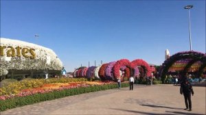 Как добраться в парк цветов Дубай. Dubai Miracle Garden 2018. Сад чудес в Дубай.Dubai Miracle Garde