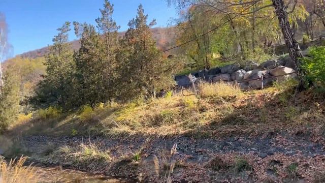 FORELKZ TROUT FISHING FARM ALMATY REGION KAZAKHSTAN | TRAVEL TOUR смотреть онлайн