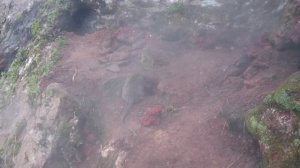 Воришка на вулкане или готовим яйца)