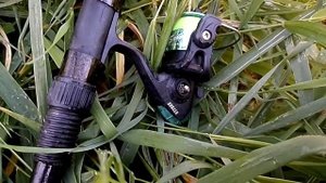 Рыбалка с ночёвкой на реке Вологда. 10 сентября 18г.