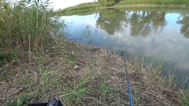 РЫБАЛКА на УДОЧКУ на ЯМЕ! Осенняя рыбалка на поплавок! смотреть онлайн