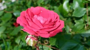 Дорога к счастью 1 - 16 серии | Премьера 2023