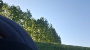 вот какой карась)) только с другого ракурса