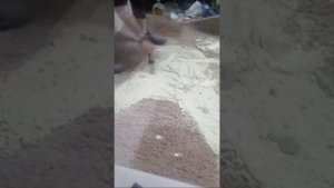 Крашу ковёр.