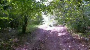 Мопед Альфа!!! На что способен. Крутой тест на подъём.