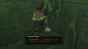 The Legend of Zelda - Breath of the Wild  КАПЮШОН ТОРГОВЦА \ ШЛЕМ КОРОЛЕВЫ НОЧИ \ МАСКА МАДЖОРЫ\ #3