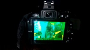 Nikon please, give a solution to how this Nikon D5600 LCD screen problem can be solved