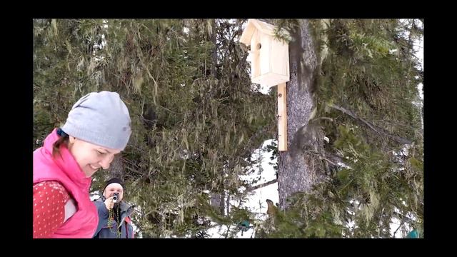 Ергаки, Саяны. Туристический поход в природный парк "Ергаки" (2 часть)