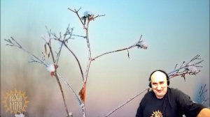 Рок и судьба.