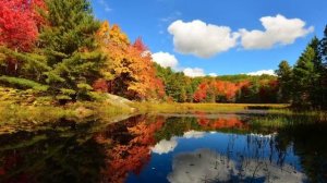 ПРОПИТКА, без слов, Христианская музыка