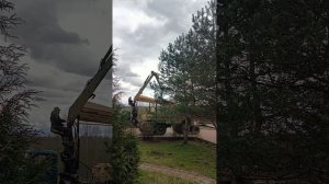 108 день