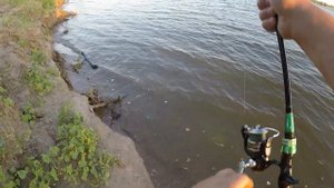 Бешеный Клёв в Ураган/Дикарем в Астрахань/Рыбалка на Волге
