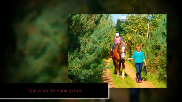 Туристический кластер Любытино