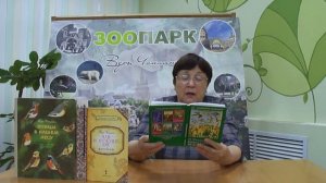 Наши пернатые соседи