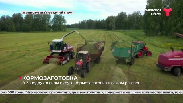 В Заводоуковском округе кормозаготовка в самом разгаре