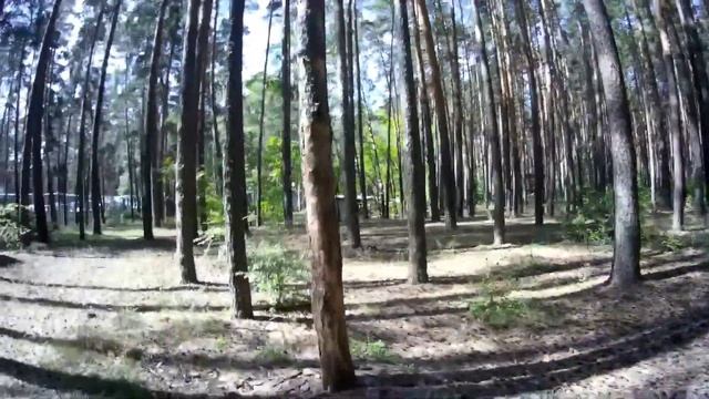 в вновь я вернулся в заброшенный лагерь смотреть онлайн