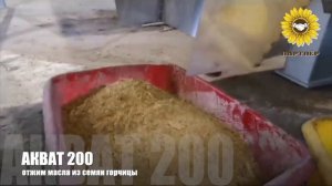 Маслопресс 200 кг в час