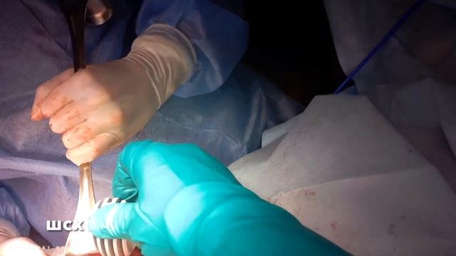 Это якорь! Егиев В. смотреть онлайн