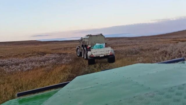 Зырянин, Хищник по тундре 2022 смотреть онлайн