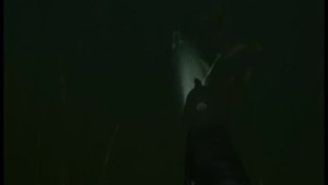 оз. Байкал. Подводная Охота.