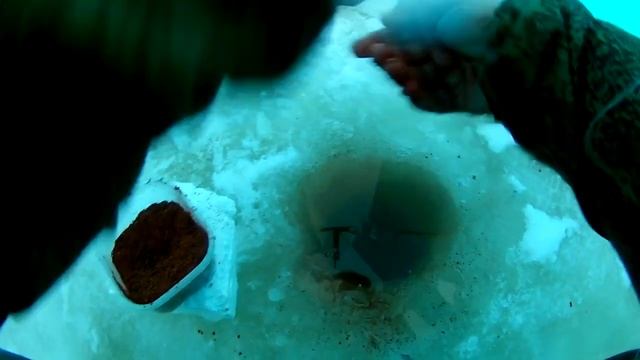 Обзор сиденья для волокуши от фирмы 24 Такта смотреть онлайн