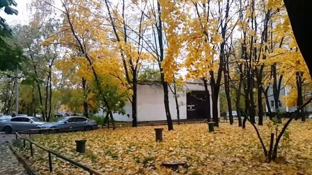 Осений листопад