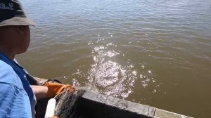 Лицензионная Рыбалка в Усть Камчатском районе