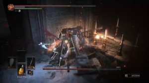 DARK SOULS™ III Ashes of Ariandel boss fight. Erase