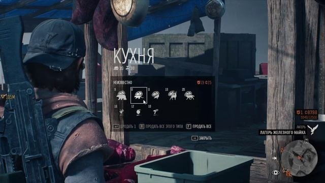 Days Gone 9