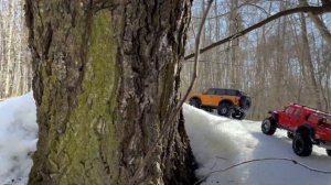 TRX4 vs Axial! RC crawler трофи в Измайлово 19.03.2023 часть 1