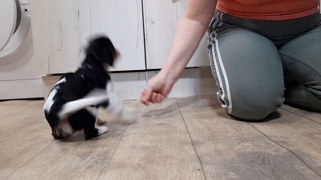 Инфинити и другие. Самые милые детки. смотреть онлайн