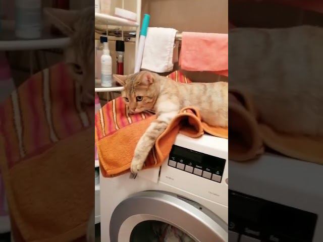 16 сентября 2021 г. смотреть онлайн