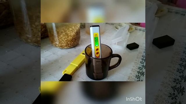 Квас на Овсе vs вода+овес ОВП и PH