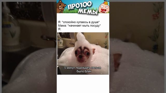 Мемы 2022 #мемы2022 #мемы #приколы #мемыскотами #смешныекоты #смешныесобаки #shorts #про100мемы