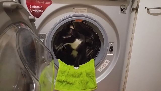 Ботя и стиральная машина