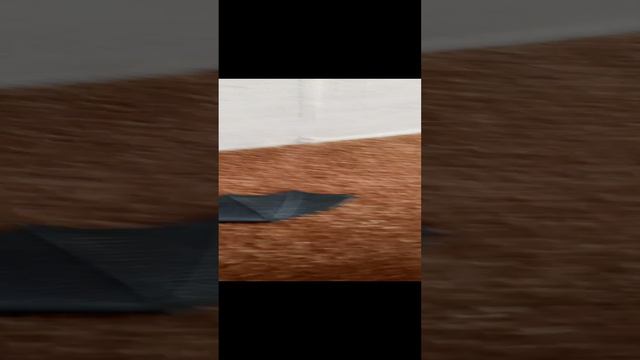 битва бисов смотреть онлайн