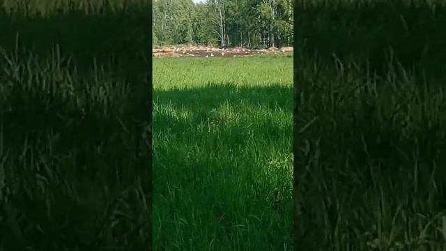 Как с возрастом меняются жизненные ценности)