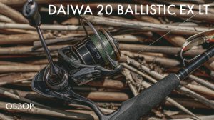 Daiwa 20 Ballistic EX LT 2500D. Недооцененная катушка.