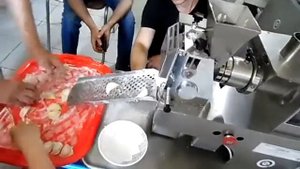Реконструкция пельменного аппарата JGL 120-5C