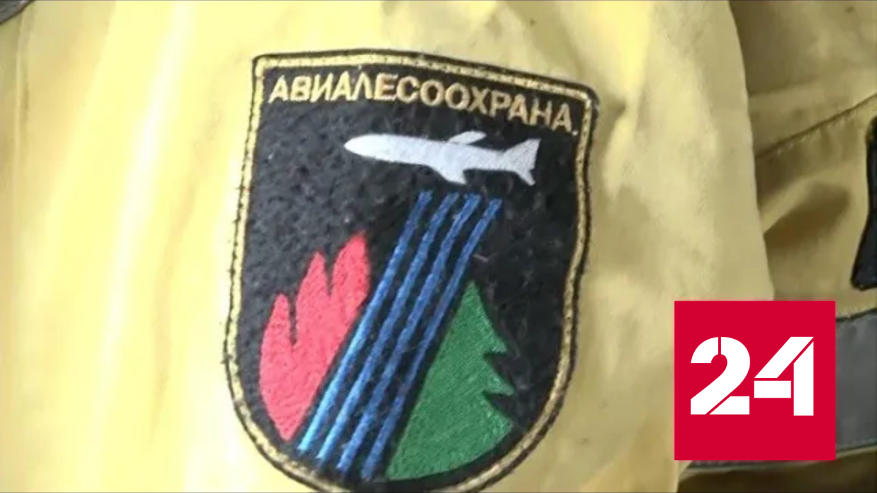 В Шилкинском районе Забайкалья введен режим ЧС из-за лесного пожара - Россия 24 
