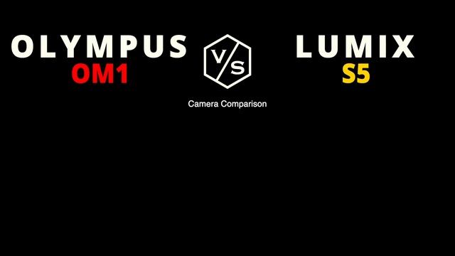 Olympus System OM1 vs Panasonic LUMIX S5