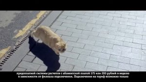 Билайн - Поговорим. 06 2018